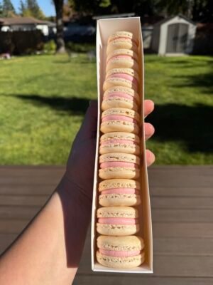 Dozen Macarons